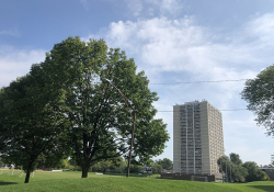 Island Terrace Apartments