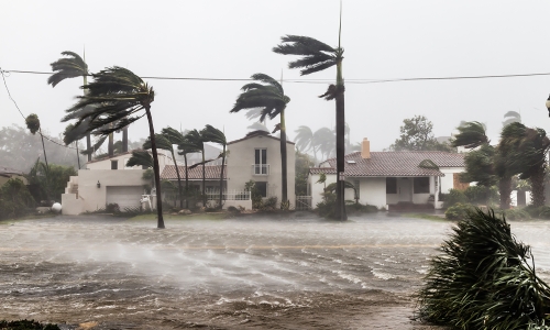 Hurricane damage